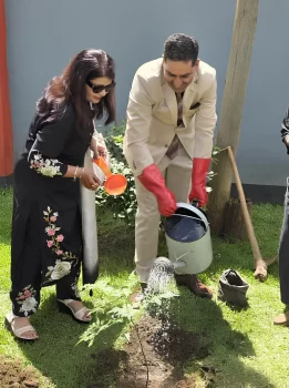 tree planting 2 optimized